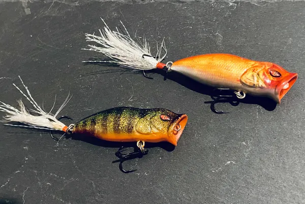 Topwater Lures